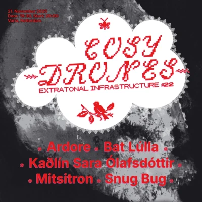 Flyer of the event Extratonal Infrastructure #22: Cozy Drones